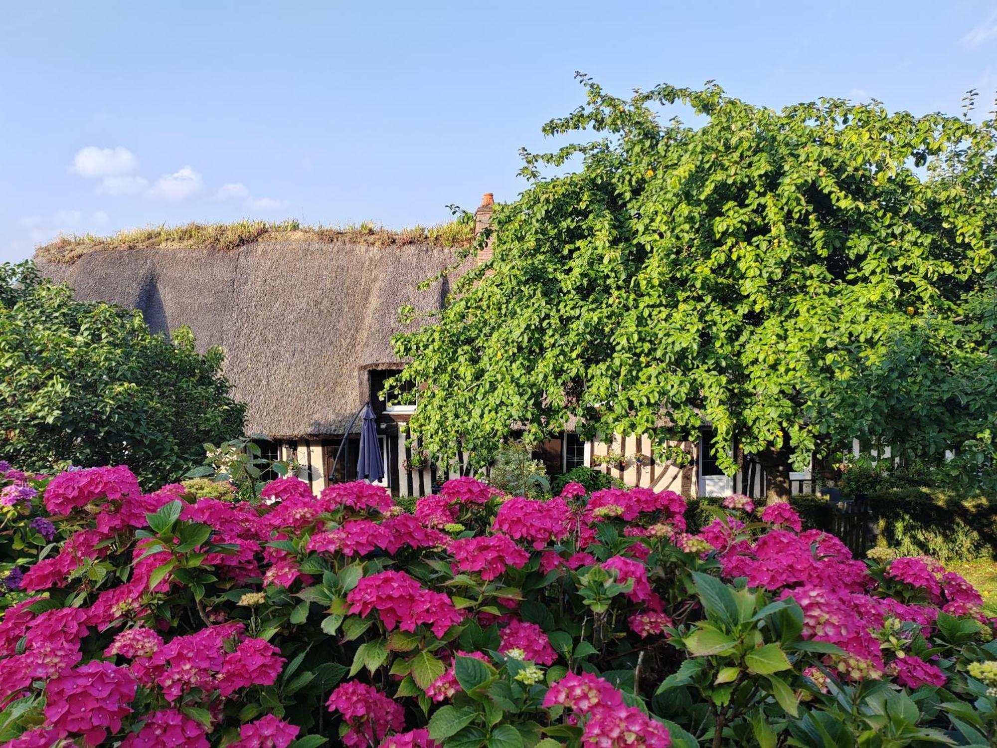 La Maraiquaise Villa Marais-Vernier Eksteriør billede