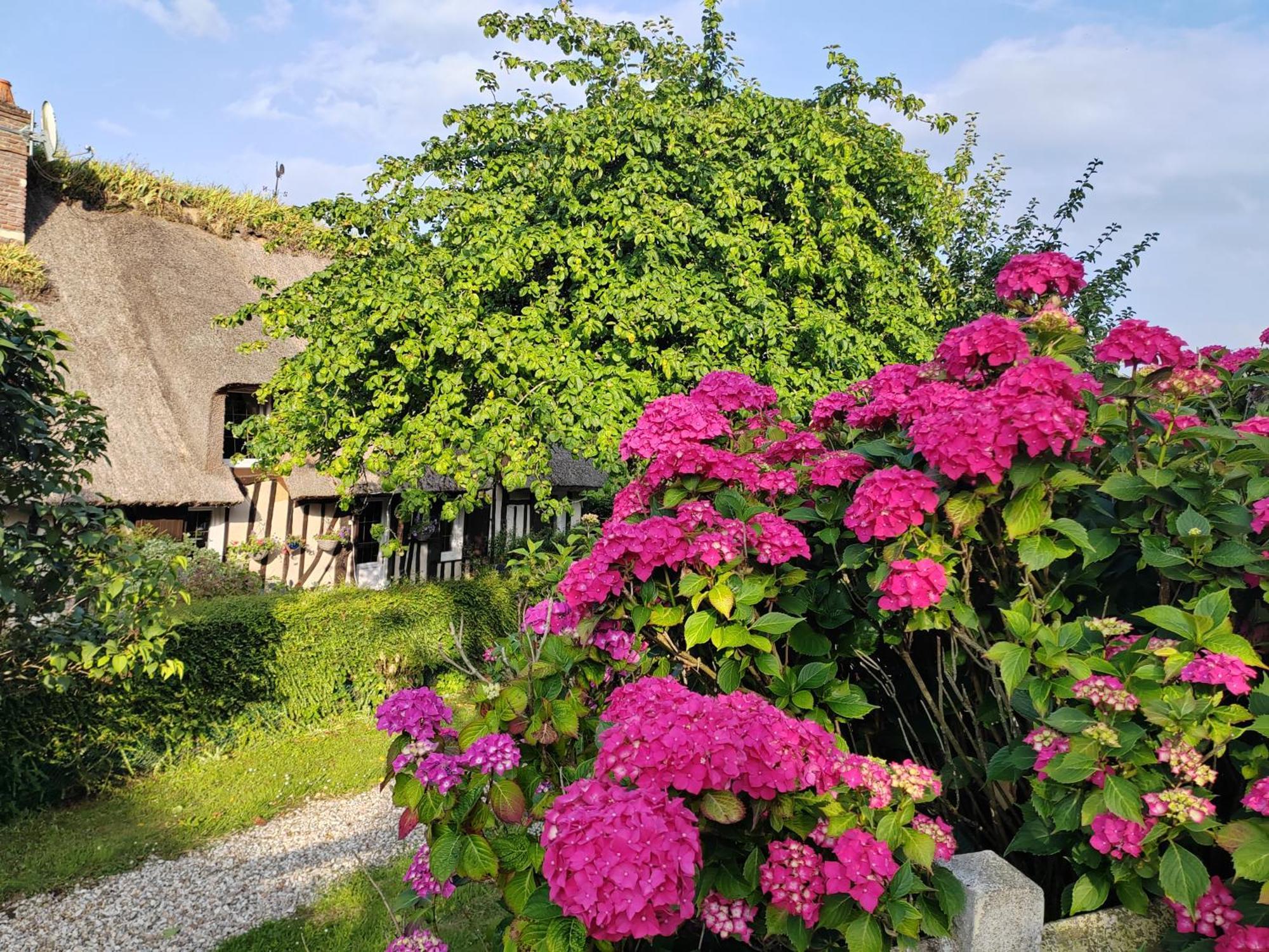 La Maraiquaise Villa Marais-Vernier Eksteriør billede
